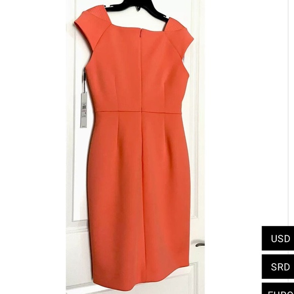 NEW Calvin Klein Beautiful Dress - Picture 5 of 8